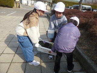 P1300027.jpg