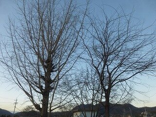 P1300039.jpg