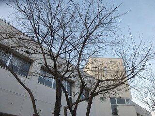 P1300044.jpg