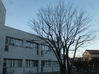 P1300045.jpg
