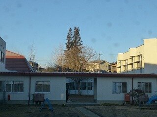 P1300056.jpg