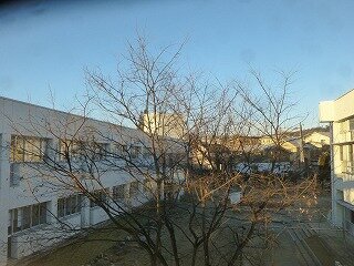 P1300062.jpg