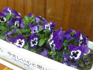 P1310042.jpg
