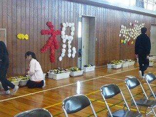 P1310046.jpg