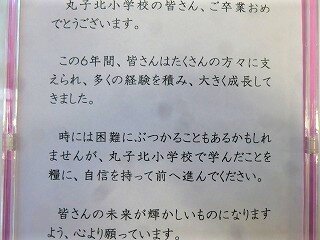 P13100571.jpg