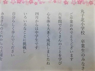 P13100591.jpg