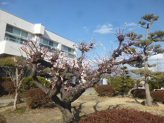P1310187.jpg