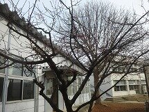 P1310208.jpg