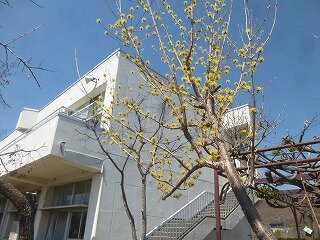 P1310351.jpg