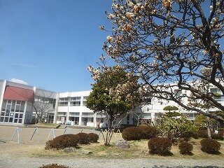 P1310355.jpg