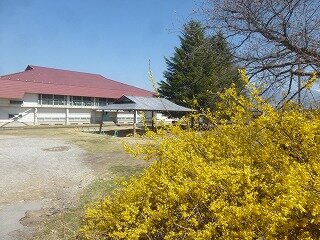 P1310367.jpg