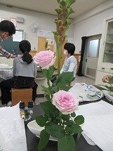 IMG_0482.jpg