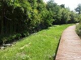P1260682.jpg