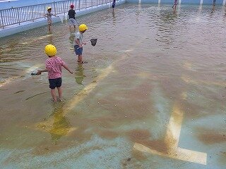 DSCF0003.jpg