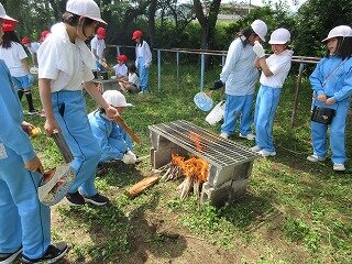 IMG_0161.jpg