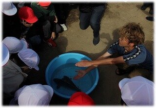 画像19.jpg