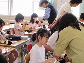 IMG_1781.jpg