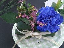 DSCF0051.jpg