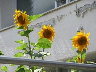 IMG_0565.jpg