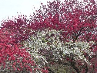 P1250752.jpg