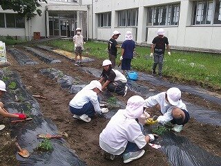 DSCF0013.jpg