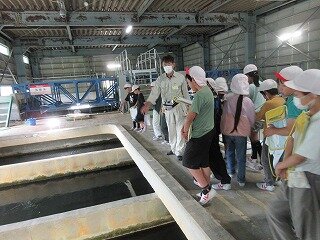 IMG_0073.jpg