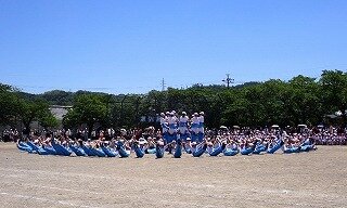 611.jpg