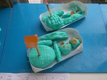 DSCF0007.jpg