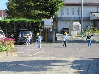 IMG_1917.jpg