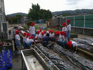 DSCF0039.jpg