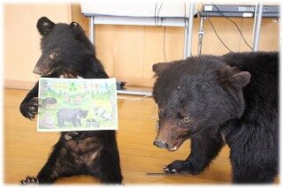 画像4.jpg