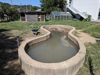 画像3.jpg