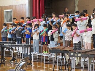 IMG_2395.jpg