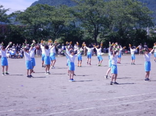 41.jpg
