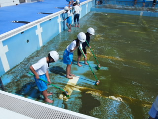 20200617pool002.JPG