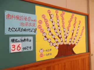 DSCN5004.JPG