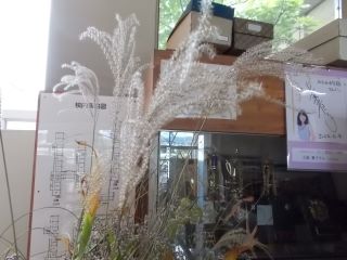 DSCN7093.JPG
