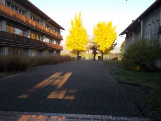 DSCN3433サイズ.JPG