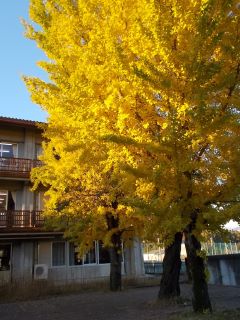 DSCN3441サイズ.JPG
