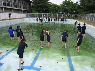 DSC01212.JPG