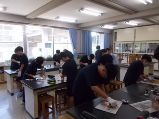 DSCN8348.JPG