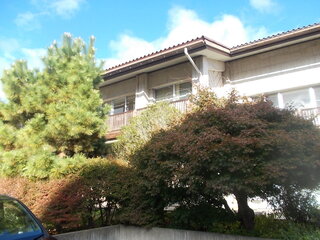 DSCN8447.JPG