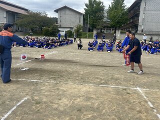 IMG_2523.JPG