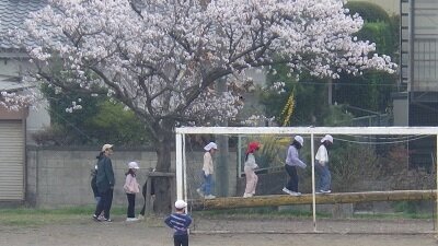 0407 1.JPG