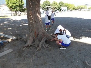 IMGP0111.JPG