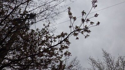 IMGP0319.JPG