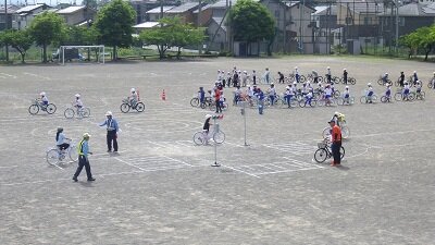 IMGP0508.JPG