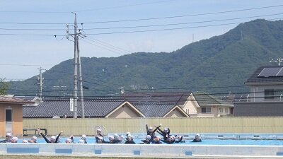 IMGP0626.JPG