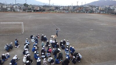 otiba2.jpg
