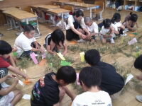202607tanabata02.jpg